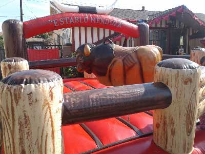 Party Mehcanical Bulls for Events